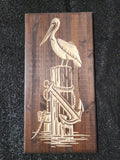 Pelican