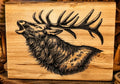 Elk Head